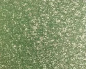 Bobine de galvalume en acier revêtu de couleur givrée
