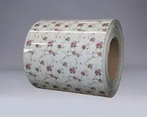 DX51D DX52D DX53D PPGI PPGL ACIER BOBLE