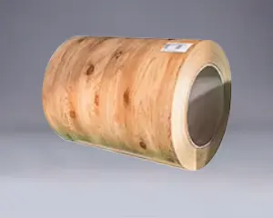 Grain de bois ppgi ppgl bobine